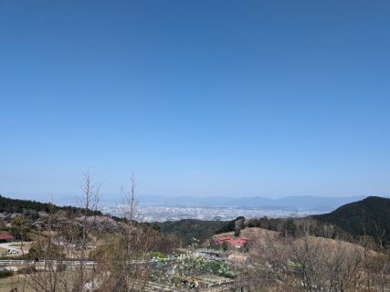 新卒社員ブログ　♯1