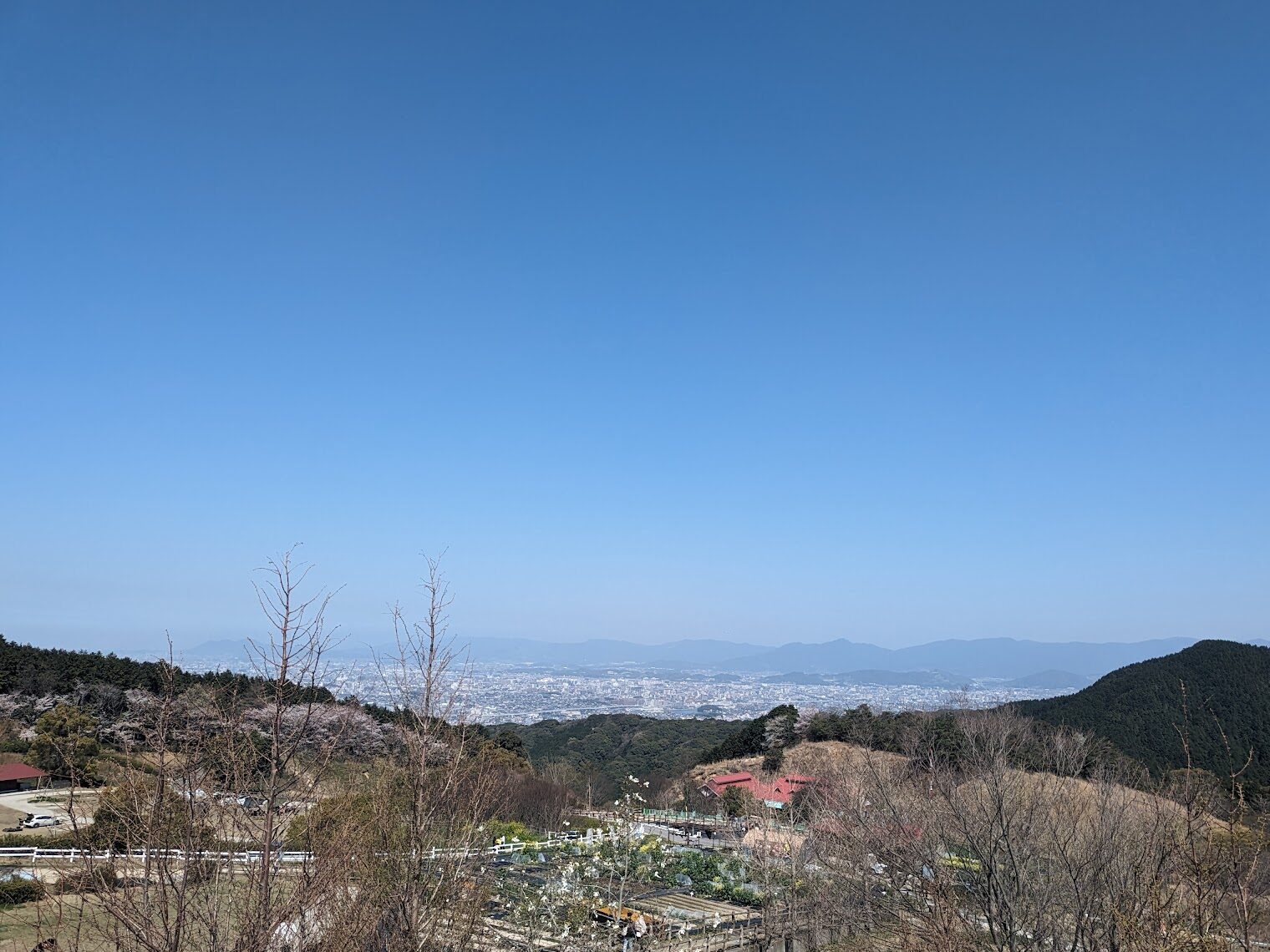 新卒社員ブログ ♯1