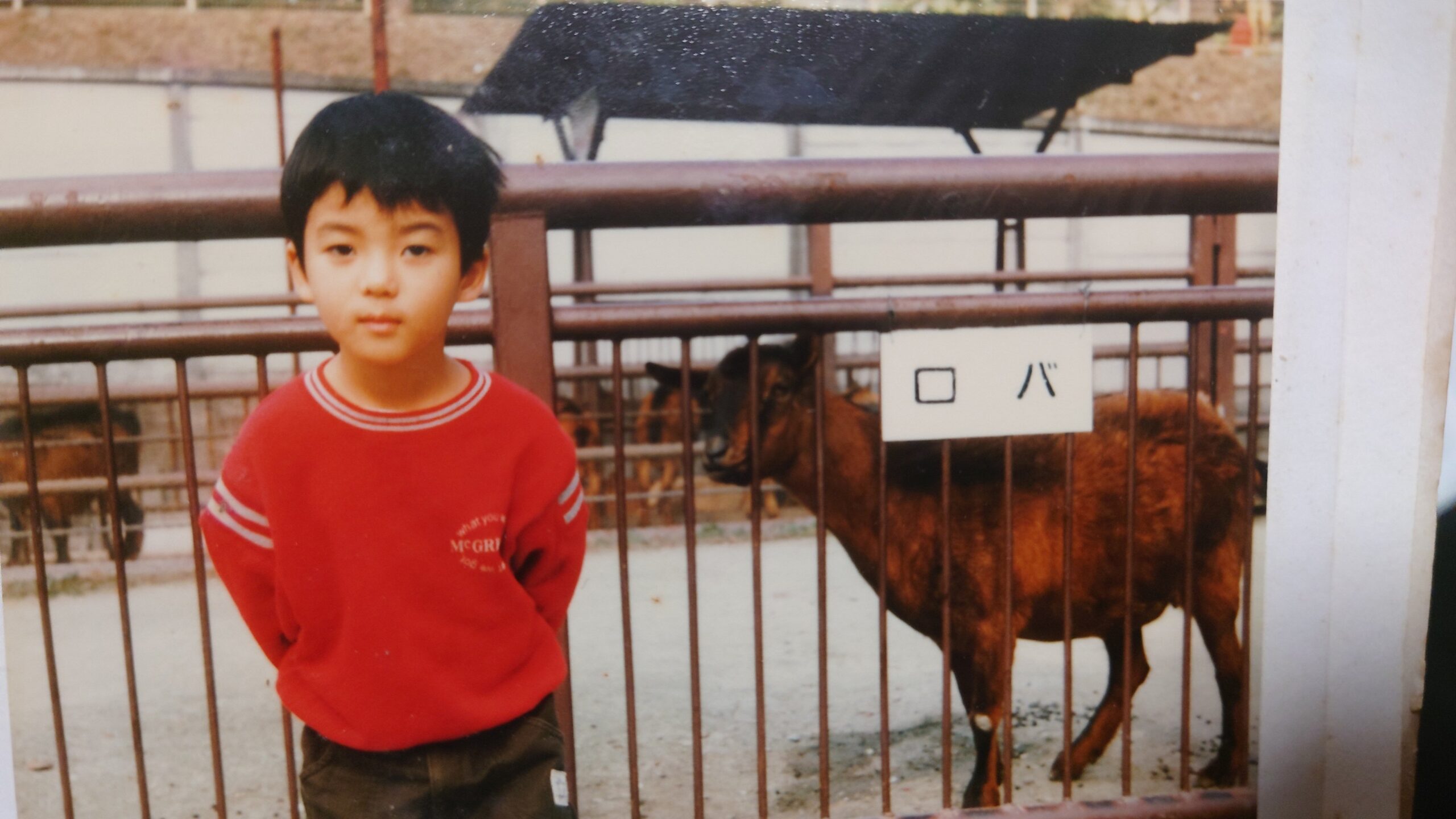 起業前夜①:少年時代